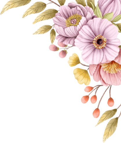 Decor Image